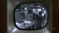 Swancamera.jpg