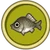 Carpín