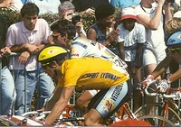 300px-Lemond