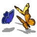 Greenhouse butterflies.png