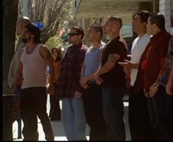 5x19 LUGO CARTEL