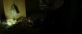 Lily dead.jpg