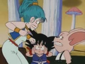 Bulma&Oolong