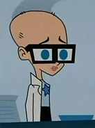 Susantestbaldhead