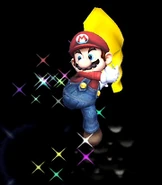 Mario Cape SSBB
