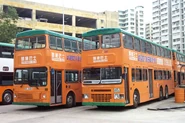 NWFBTrainingBuses