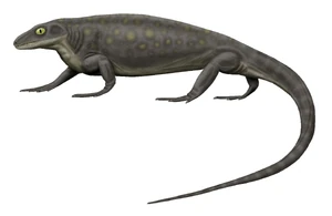 Aerosaurus greenleeorum