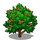 Bloodberry Tree-icon.png