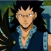Gajeel prof