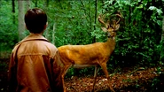 Carl&deer