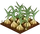 Garlic-icon.png