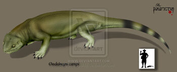 Oedaleops campi