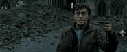 HarryElderWand