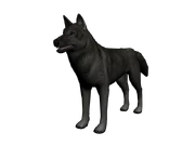 Lobo3d