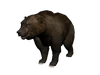 Brumas