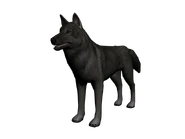 Lobo3d