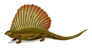 Edaphosaurus raymondi