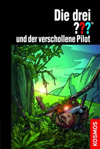 Cover Der verschollene Pilot.jpg
