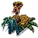Fink
