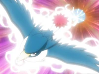 Paul Honchkrow Sky Attack