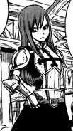 Erza Armor X791