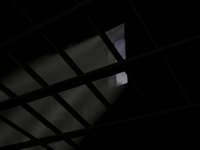 Prison bars