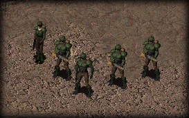 Fo2 VC Guards Patrol