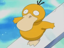 Misty Psyduck