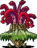 Octorex