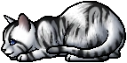 Ivypool.kit.png (4 KB) Ivypool.kit