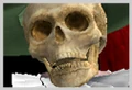 Revenant SClll icono