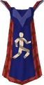 Agility cape detail.png