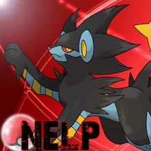 NELP