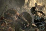 Sword and Shield combat