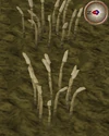 Barley3