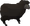 Black sheep