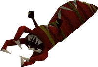 Bloated leech