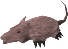 Brine rat