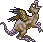 Piasa Bird Hatchling Female.gif