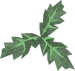 Clean aloe detail
