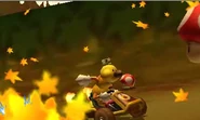 MK7 Screen 45