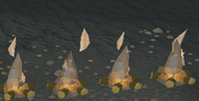 CursedMageLogsBurn