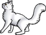 Whitestorm.deputy