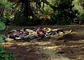 Ajira corpses