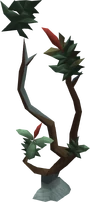 Entgallow tree