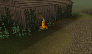 Father Urhney Fire