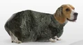 RocktoDog.png