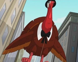 Thanksgiving SSM
