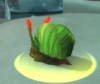 RockchewerWhelk