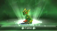 Entrance Camo